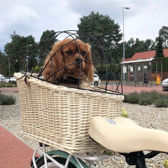 Wicker Dog or Cat Carrier with Protective Grille - for Bicycle Luggage Rack & Metal Holder - Ecru Color with Soft Cotton Cushion